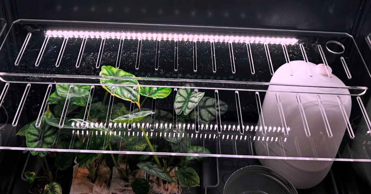 Acrylic Shelf Stiffener
