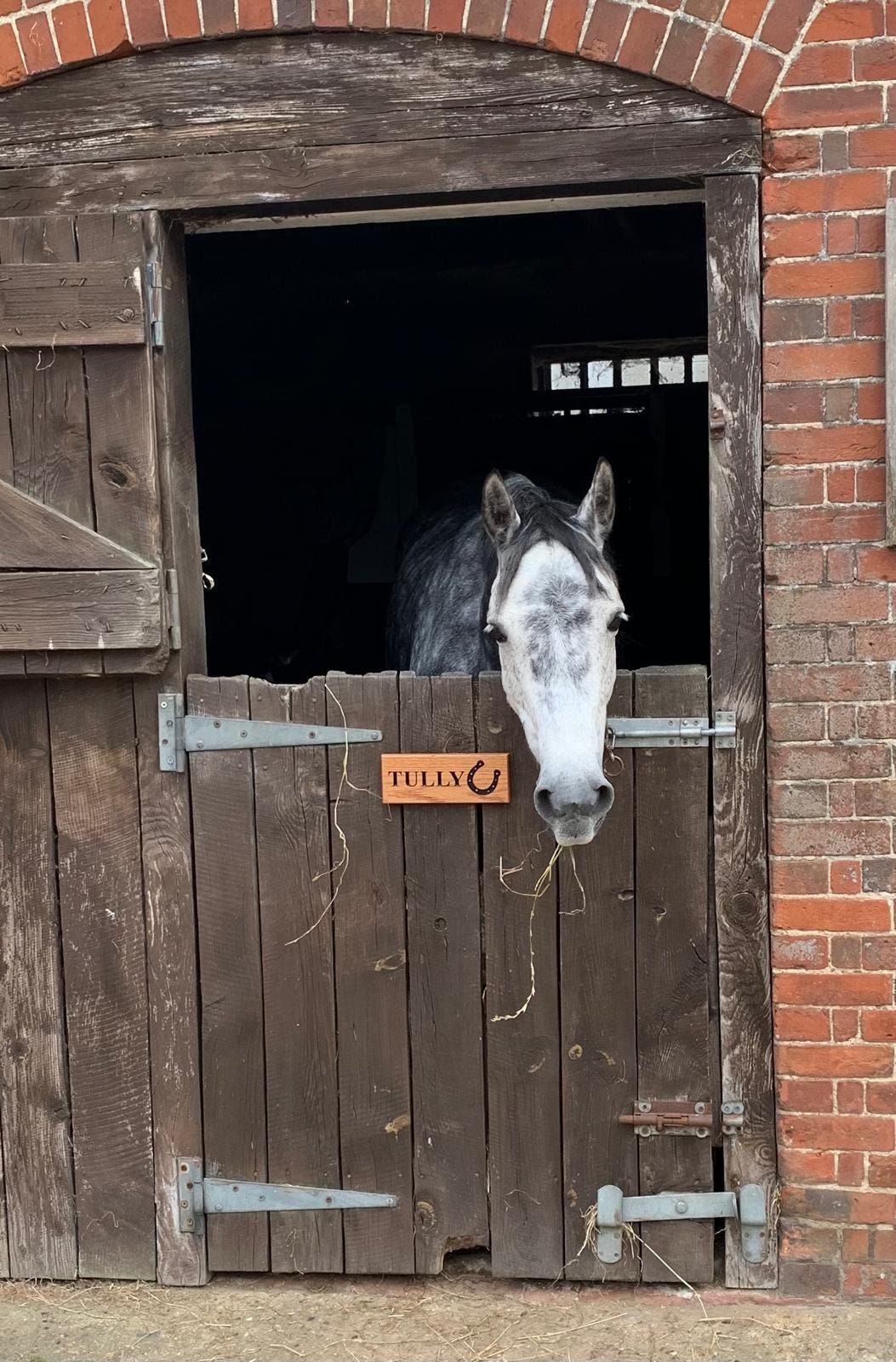 Solid Oak Engraved Stable Door Sign